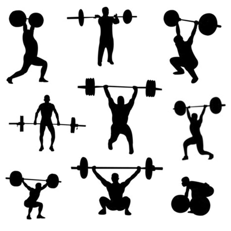 7FT Chrome Olympic Barbell Lifting Bar Weight Workout Gym Bench Workout 35.9 Lb