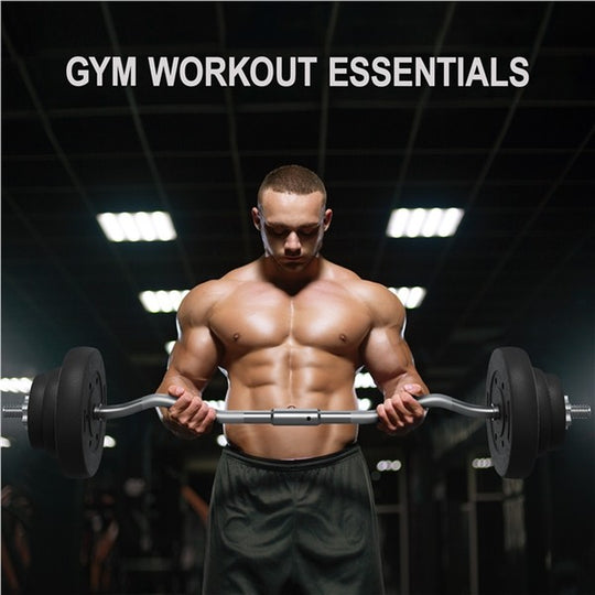 44Lbs Weights Barbell Weight Set Olympic Curl Bar with Weights for Home Gym