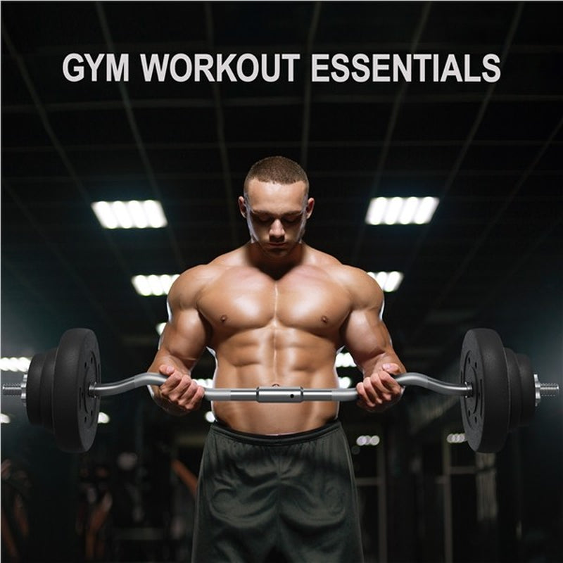 44Lbs Weights Barbell Weight Set Olympic Curl Bar with Weights for Home Gym